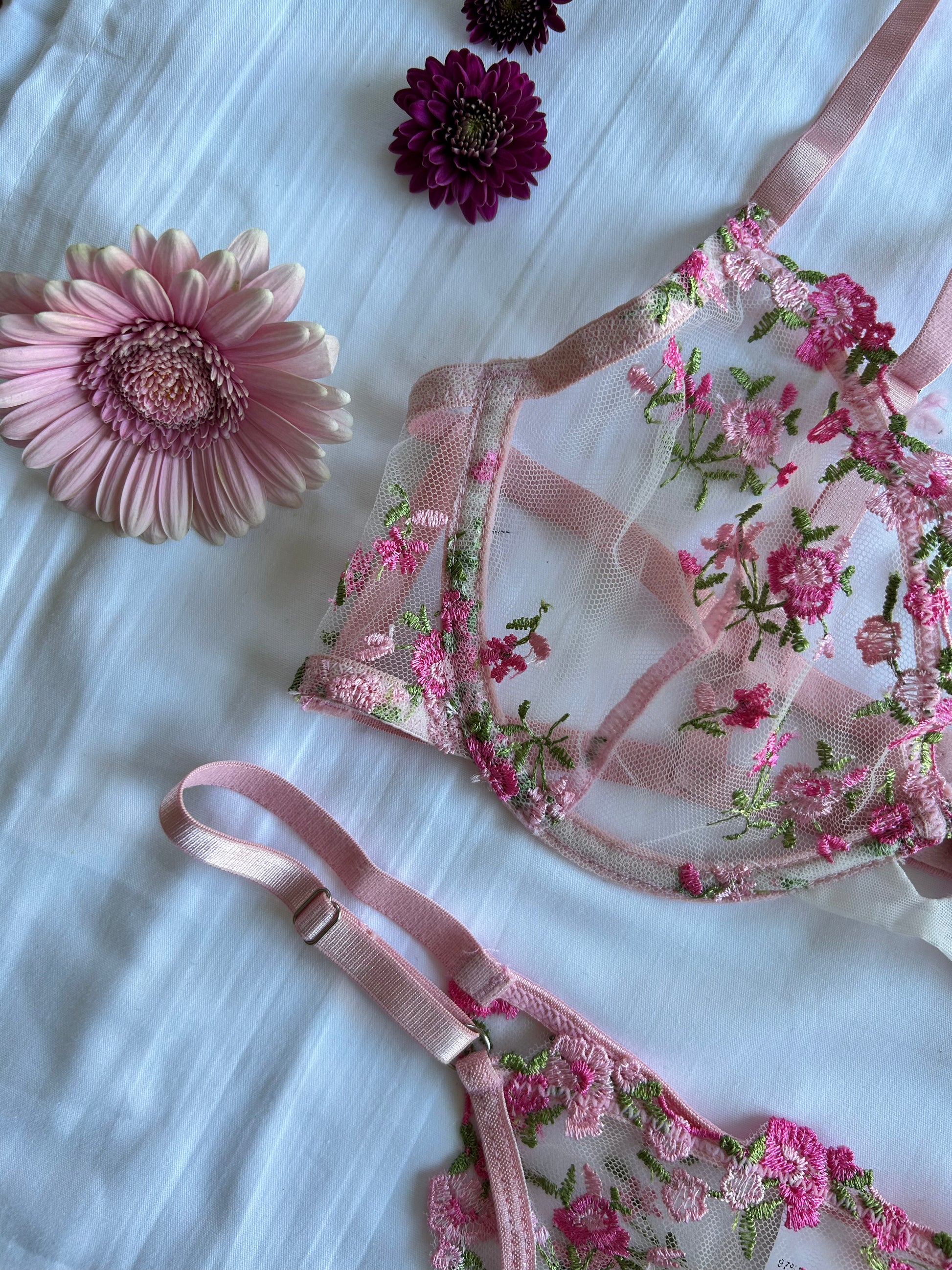 pink lace panty